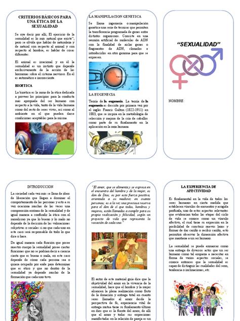 Triptico De La Sexualidad 2 Pdf Sexualidad Homo Sapiens