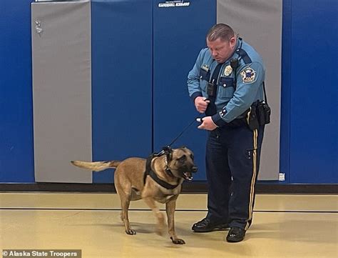 Alaska State Troopers Unleash Canine, Brutally Beat Man During Arrest - But They Had The Wrong ...