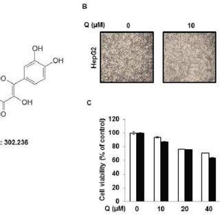 The Effect Of Ir On Cell Viability And Autophagy In Hepg Cells A