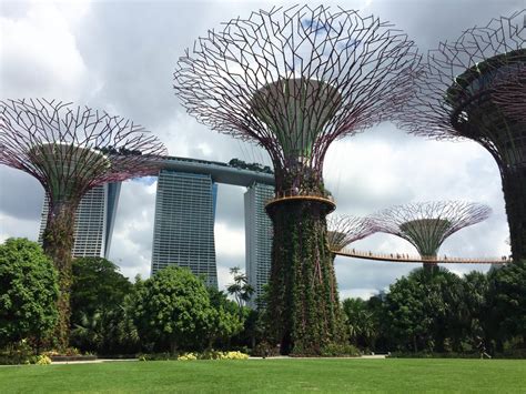 Singapore - "City In A Garden" - Out Of Office With Rebecca