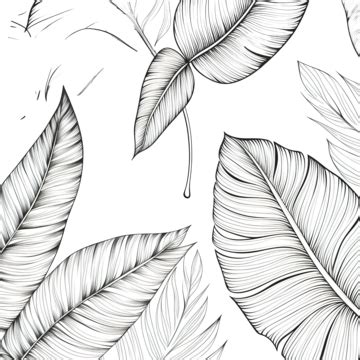 Modern Line Art Tropical Leaves Doodle Jungle Hawaii PNG Transparent