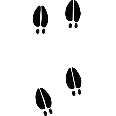 Deer Hoof Clipart 20 Free Cliparts Download Images On Clipground 2024