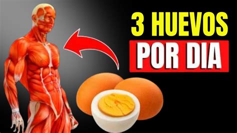 Comer 3 Huevos Todos Los Días Beneficios Sorprendentes Youtube