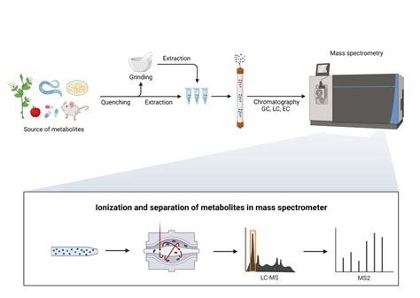 Approach Proteome Exploration Laboratory