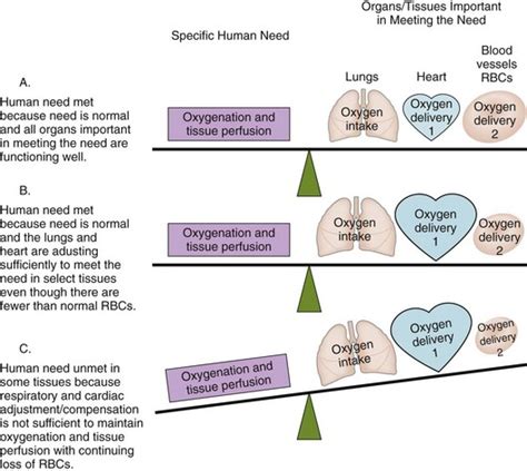 Care of Patients with Shock | Nurse Key