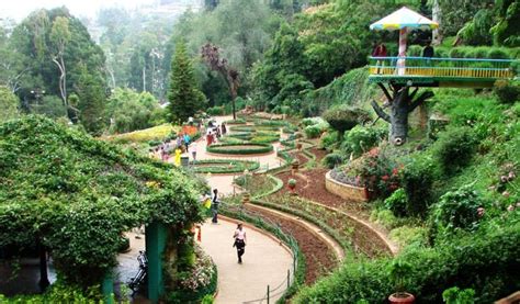 COORG OOTY KODAIKANAL – South India Tour Packages