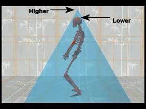 Tai Chi The Pyramid View Of The Body And Grounding Tai Chi Qigong