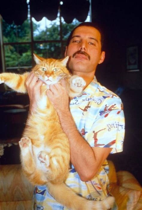 13 Rare Photos Of Freddie Mercury And His Cats