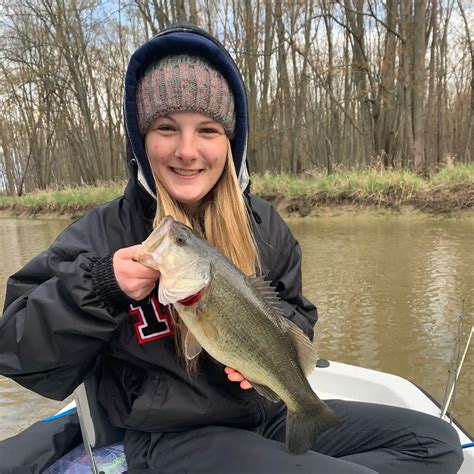 Fishing Reports Best Baits And Forecast For Fishing In Swan Creek