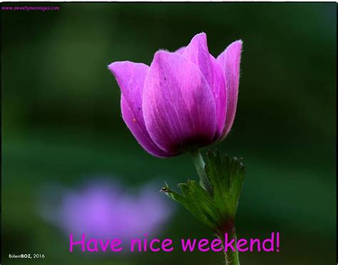 WEEKEND MESSAGES FOR FRIENDS - Beautiful Messages