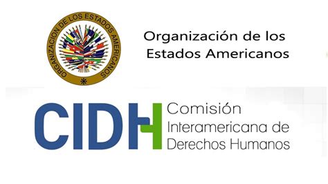 En El D A De La Memoria Trans La Cidh Llama A Los Estados A Proteger