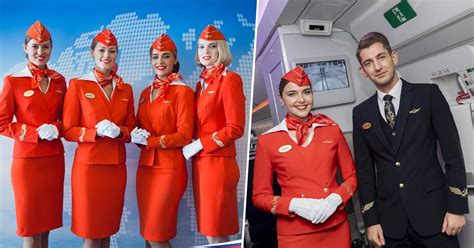 Aeroflot Airlines Flight Attendant Requirements Cabin Crew HQ