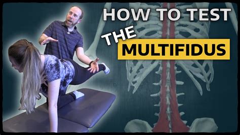 How To Test The Multifidus Physical Therapy Assessment Youtube