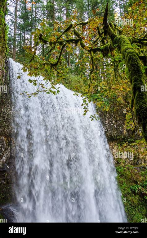 Lower South Falls At Silver Falls State Park The Largest State Park In