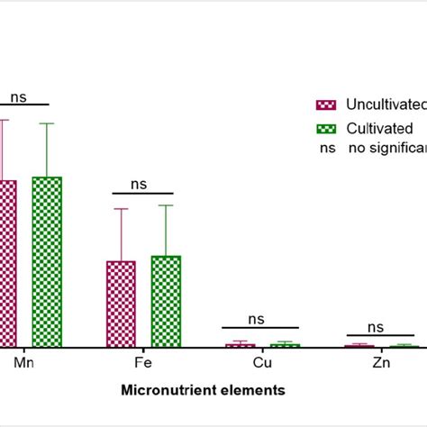 The Average Concentration Of Micronutrients Mn Fe Cu And Zn In