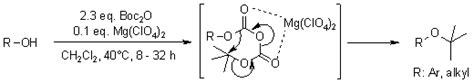 P Tert Butyl Groups Improve The Utility Of Aromatic 50 Off