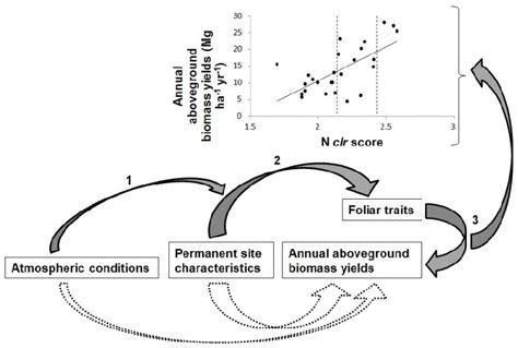 Schematic Representation Of Interactions Between Factors Controlling Download Scientific