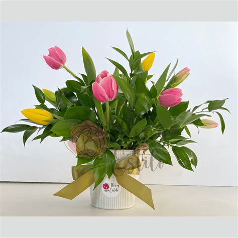 Top 200 Tulipanes En Maceta Para Regalar Abzlocal Mx