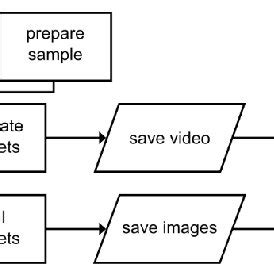 Workflow Of An Experiment Using Mincz Consisting Of Pdms Chip