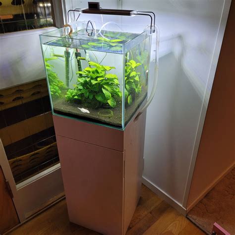 Akvarium 30l co2 ADA | FINN.no
