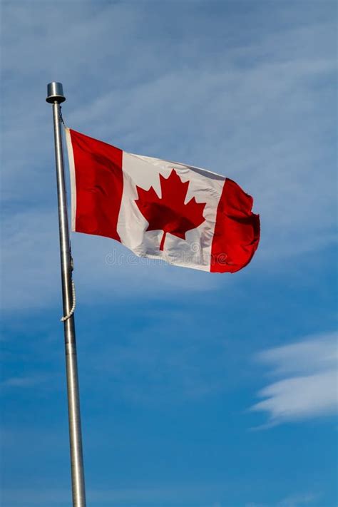 Canadian Flag Waving In The Wind Stock Photo Image Of Celebrations