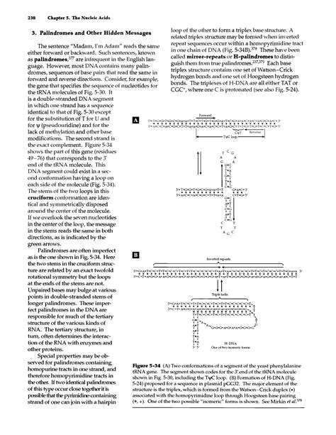 Hoogsteen Base Pairing Big Chemical Encyclopedia