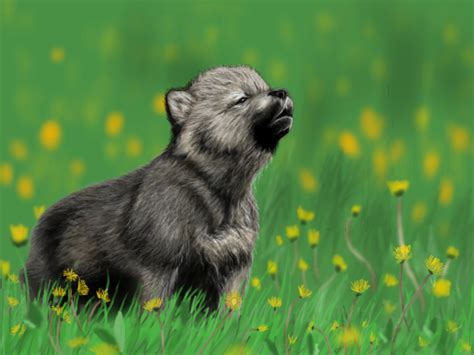 Wolf Pup by Opium01 on DeviantArt