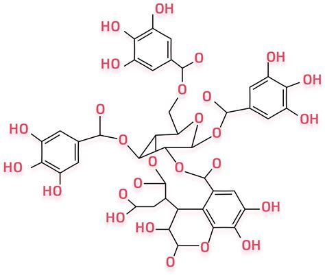 Terminalia Chebula Fruit Extract | Sytheon Ltd.