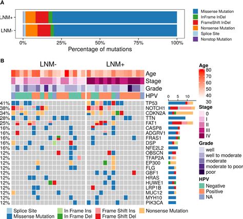 Frontiers Correlation Between The Evolution Of Somatic Alterations