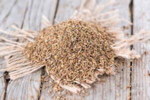 How to Use Anise as a Spice | Gardener’s Path