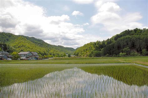 Satoyama~Authentic Japan - Sustainable Japan by The Japan Times