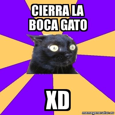 Meme Anxiety Cat Cierra La Boca Gato XD 12254001