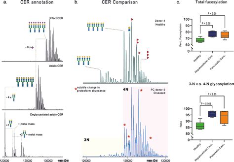 Charting The Proteoform Landscape Of Serum Proteins In Individual