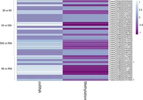 Heatmap Depicting Target Genes Regulated By DNA Methylation And MiRNA