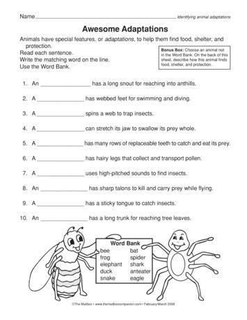 Plant Adaptations Worksheets Grade 3