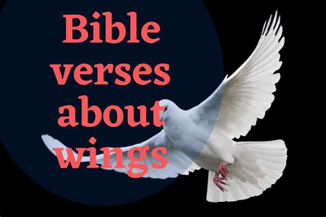 Bible verses about wings – Bible Verses of the day