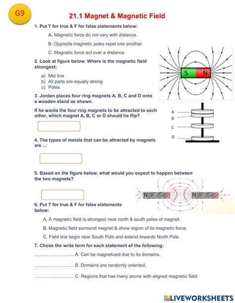 Physical Science Magnetic Field Worksheets