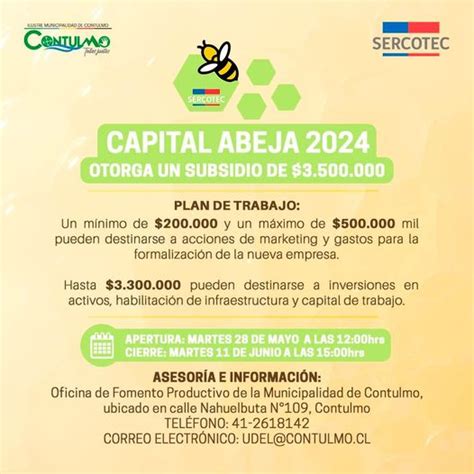 CAPITAL ABEJA 2024 Municipalidad De Contulmo