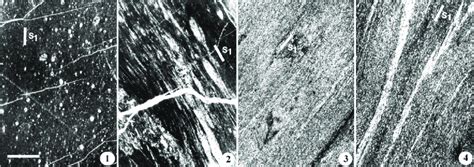 Textures Of Metamorphosed Limestones From The Bükk Mts 1 And 2 And