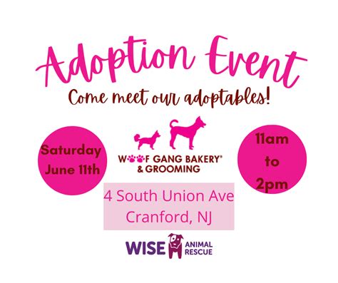 Adoption Event At Woofgang Bakery And Grooming Wise Animal Rescue