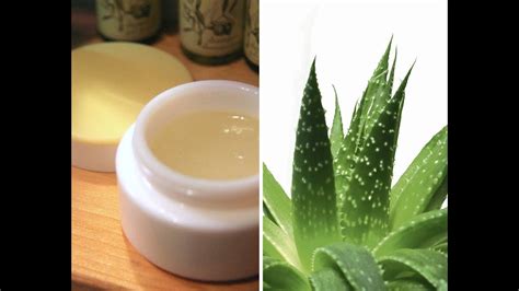 GEL D ALOE VERA Fatto In Casa Rimedio Naturale Per Pelle E Capelli