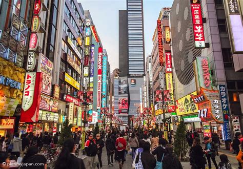 Shinjuku, Tokyo - 33 Things To Do Guide + Photos - Plan My Japan