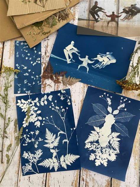 Cyanotype Tout Savoir Pour D Buter Photo A Imprimer Feuille