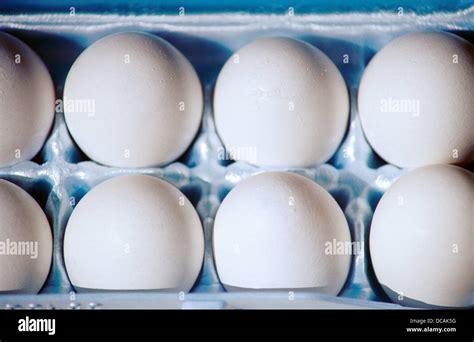 Jumbo eggs in carton Stock Photo - Alamy