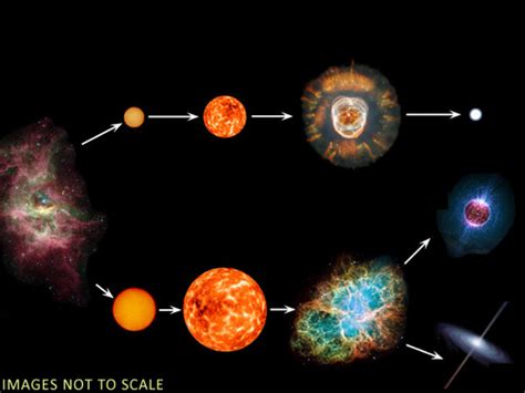 Astronomy Quiz 3 Diagram Flashcards Quizlet