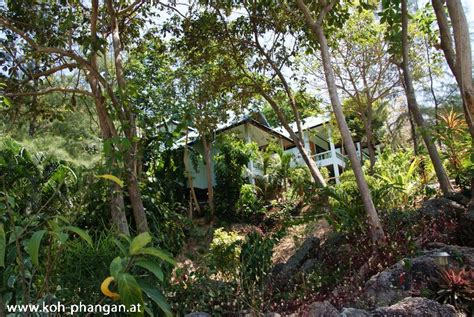 Koh Phangan Coconut Beach And Garden Bungalows Fotogalerie Koh Phangan