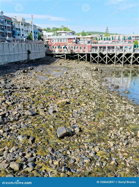 Low Tide in Bar Harbor editorial photography. Image of leisure - 258665897
