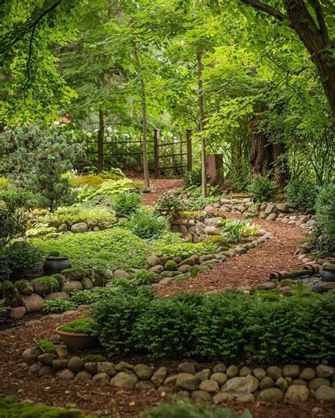 25 Woodland Shade Garden Ideas To Try This Year Sharonsable