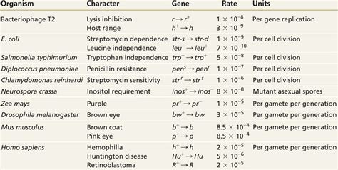 mutation_rate.html 15_T02-spontaneous-mutation_rates.jpg