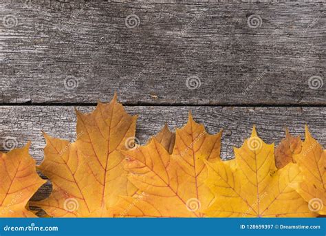 Still Life Of Autumnal Ingredients Stock Image Image Of Blank Board